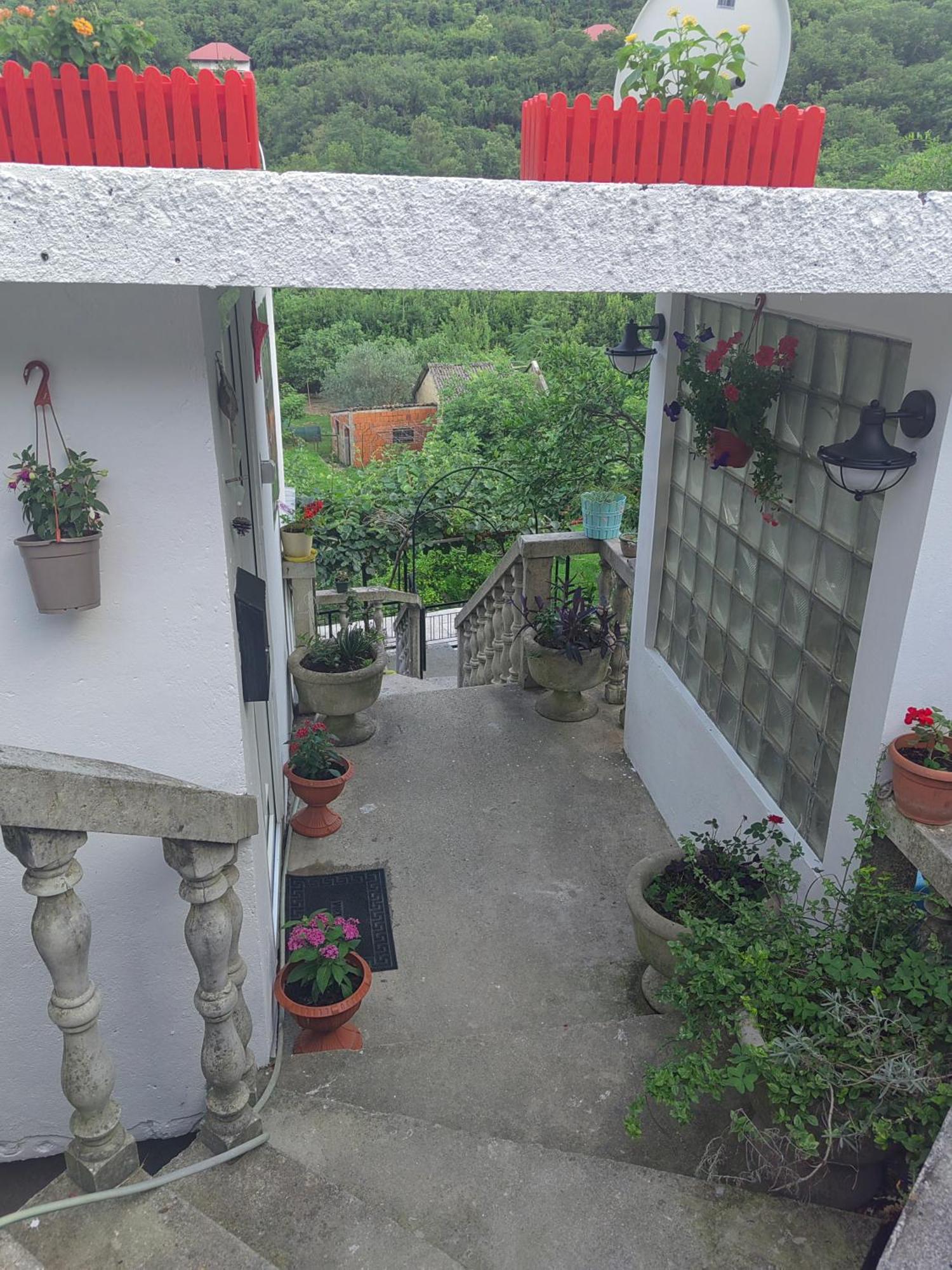 Old House Morinj Διαμέρισμα Εξωτερικό φωτογραφία